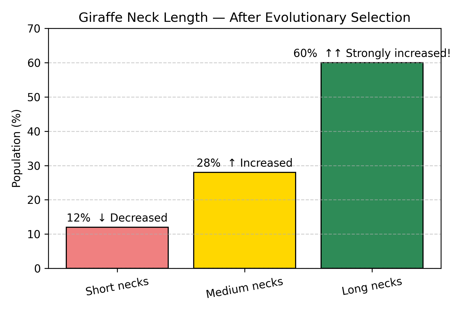 Giraffe Neck Length — After Evolutionary Selection